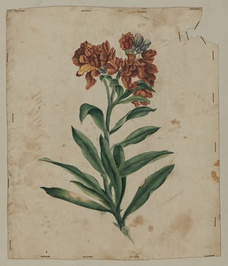  <em>Design Drawing</em>, early 19th century. Ink on paper, 7 1/4 x 8 1/2 in. (18.4 x 21.6 cm). Brooklyn Museum, Museum Collection Fund, 47.189.14 (Photo: Brooklyn Museum, 47.189.14_overall_PS20.jpg)