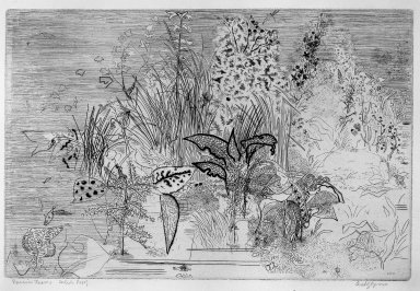 Anthony Gross (British, 1905–1984). <em>Riverside Leaves</em>, 1950. Etching and engraving on wove paper, 9 13/16 x 14 3/4 in. (25 x 37.5 cm). Brooklyn Museum, A. Augustus Healy Fund, 53.168.36. © artist or artist's estate (Photo: Brooklyn Museum, 53.168.36_acetate_bw.jpg)
