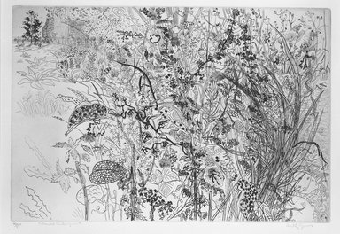 Anthony Gross (British, 1905–1984). <em>Tangled Underwood</em>, 1950. Etching on laid paper, 10 1/16 x 14 13/16 in. (25.5 x 37.7 cm). Brooklyn Museum, Henry L. Batterman Fund, 54.139.2. © artist or artist's estate (Photo: Brooklyn Museum, 54.139.2_bw.jpg)