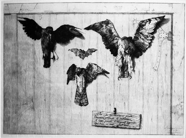 Félix Bracquemond (Paris, France, 1833–1914, Sèvres, France). <em>LeHaut D'un Battant de Porte (Four Birds)</em>, 1852. Etching on laid paper, 12 x 15 7/8 in. (30.5 x 40.3 cm). Brooklyn Museum, Gift of Mrs. Howard M. Morse, 59.53.1 (Photo: Brooklyn Museum, 59.53.1_bw.jpg)