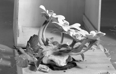 Dorothy Doughty (British, born Italy, 1892-1962). <em>Bird Statuette: Blue Grey Gnatcatcher</em>, 20th century. Porcelain Brooklyn Museum, Gift of the Nina Haven Charitable Foundation, 63.92.2. Creative Commons-BY (Photo: Brooklyn Museum, 63.92.2_acetate_bw.jpg)