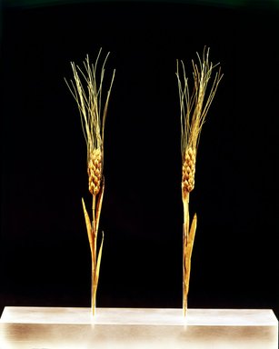  <em>Ear of Wheat, 1 of 2</em>, second half of 4th century B.C.E. Gold, Average Height: 8 7/8 in. (22.5 cm). Brooklyn Museum, Purchased with funds given by Mr. and Mrs. Carl L. Selden and Mrs. Frank K. Sanders, 67.13.1. Creative Commons-BY (Photo: , 67.13.1-.2_SL4.jpg)