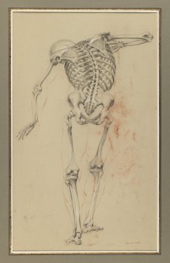Daniel Huntington (American, 1816-1906). <em>Skeleton Study</em>, ca. 1848. Black and red crayon and white chalk on beige, medium-weight, slightly textured wove paper, Sheet: 20 3/16 x 10 3/8 in. (51.3 x 26.4 cm). Brooklyn Museum, Gift of The Roebling Society, 68.167.3 (Photo: Brooklyn Museum, 68.167.3_IMLS_PS3.jpg)