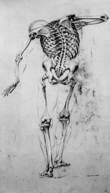 Daniel Huntington (American, 1816-1906). <em>Skeleton Study</em>, ca. 1848. Black and red crayon and white chalk on beige, medium-weight, slightly textured wove paper, Sheet: 20 3/16 x 10 3/8 in. (51.3 x 26.4 cm). Brooklyn Museum, Gift of The Roebling Society, 68.167.3 (Photo: Brooklyn Museum, 68.167.3_bw.jpg)