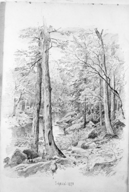 William Trost Richards (American, 1833-1905). <em>Landscape with Stream</em>, September 20, 1870. Graphite on paper, Sheet: 10 3/8 x 6 15/16 in. (26.4 x 17.6 cm). Brooklyn Museum, Gift of Edith Ballinger Price, 72.32.32 (Photo: Brooklyn Museum, 72.32.32_bw.jpg)