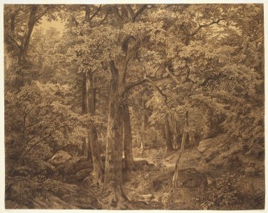 William Trost Richards (American, 1833-1905). <em>Forest Interior</em>, 1865. Charcoal and chalk on paper, 23 5/16 x 29 7/16 in. (59.2 x 74.8 cm). Brooklyn Museum, Gift of Edith Ballinger Price, 72.32.3 (Photo: Brooklyn Museum, 72.32.3_SL1.jpg)