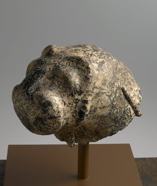  <em>Head from a Statue of a Lion</em>, ca. 3300–3100 B.C.E. Pegmatite, 9 3/4 x 7 7/8 x 12 13/16 in., 42 lb. (24.8 x 20 x 32.5 cm, 19.05kg). Brooklyn Museum, Charles Edwin Wilbour Fund, 73.26. Creative Commons-BY (Photo: Brooklyn Museum, 73.26_PS6.jpg)