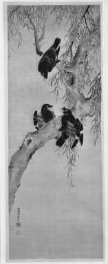 Yasuda Genshi (Japanese, died 1792). <em>Three Myna Birds in a Willow Tree</em>, late 18th century. Hanging scroll, ink and color on silk, Image: 40 x 14 1/4 in. (101.6 x 36.2 cm). Brooklyn Museum, By exchange, 74.113 (Photo: Brooklyn Museum, 74.113_bw_IMLS.jpg)