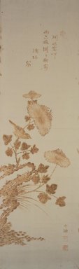  <em>Chrysanthemums, Rock and Bird</em>, late 19th-early 20th century. Branding, ink, and light color on paper, 38 11/16 x 11 15/16 in. (98.3 x 30.4 cm). Brooklyn Museum, Designated Purchase Fund, 75.65.4 (Photo: Brooklyn Museum, 75.65.4.jpg)