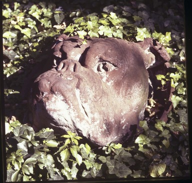 American. <em>Roundel of Female Bulldog</em>, ca. 1890. Painted red terracotta, 21 1/2 x 27 x 28 in., 400 lb. (54.6 x 68.6 x 71.1 cm, 181.4kg). Brooklyn Museum, Gift of Ivan Karp, 76.192.1. Creative Commons-BY (Photo: Image courtesy of F Stop Fitzgerald, 76.192.1.jpg)