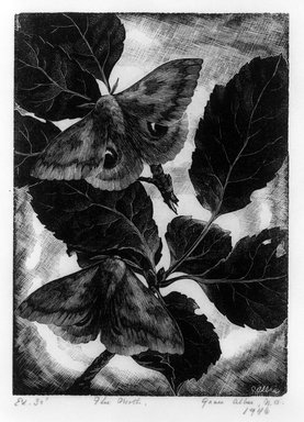 Grace Arnold Albee (American, 1890–1995). <em>The Moth</em>, 1946. Wood engraving on paper, Image: 5 1/4 x 3 3/4 in. (13.3 x 9.5 cm). Brooklyn Museum, Gift of the artist, 76.198.38. © artist or artist's estate (Photo: Brooklyn Museum, 76.198.38_bw.jpg)