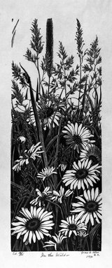 Grace Arnold Albee (American, 1890-1995). <em>In the Wild</em>, 1971. Wood engraving in red and black ink on wove paper, 10 x 3 15/16 in. (25.4 x 10 cm). Brooklyn Museum, Gift of the artist, 76.198.76. © artist or artist's estate (Photo: Brooklyn Museum, 76.198.76_bw.jpg)