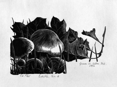 Grace Arnold Albee (American, 1890-1995). <em>Edible No. 2</em>, 1972. Wood engraving on paper, Image: 3 1/2 x 5 5/8 in. (8.9 x 14.3 cm). Brooklyn Museum, Gift of the artist, 76.198.79. © artist or artist's estate (Photo: Brooklyn Museum, 76.198.79_bw.jpg)