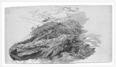 William Trost Richards (American, 1833-1905). <em>Mossy Rocks and Ferns</em>. Watercolor, Sheet: 8 1/8 x 15 in. (20.6 x 38.1 cm). Brooklyn Museum, Gift of Edith Ballinger Price, 76.53 (Photo: Brooklyn Museum, 76.53_bw.jpg)