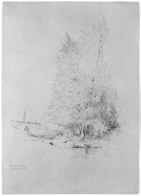 Jervis McEntee (American, 1828-1891). <em>Trees at Shandeken</em>, October 2, 1858. Graphite with ink on paper, Sheet: 15 x 10 3/4 in. (38.1 x 27.3 cm). Brooklyn Museum, Gift of Mr. and Mrs. Stuart Feld, 80.292.2 (Photo: Brooklyn Museum, 80.292.2_bw_SL3.jpg)