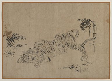  <em>Tiger and Bamboo</em>, 19th century. Brush sketch, ink on paper, Image: 9 3/4 x 13 3/4 in. (24.8 x 34.9 cm). Brooklyn Museum, Gift of Dr. Jack Hentel, 81.204.20 (Photo: Brooklyn Museum, 81.204.20_IMLS_PS3.jpg)