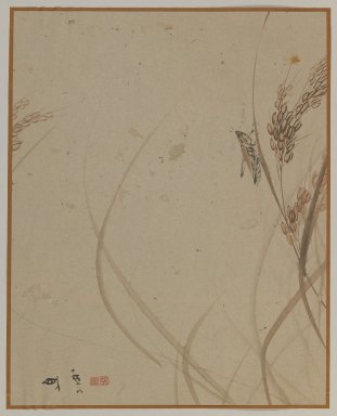  <em>Grasshopper on Stalk of Rice, Album Leaf Painting</em>, 19th century. Ink and color on paper, Image: 10 1/4 x 12 3/4 in. (26 x 32.4 cm). Brooklyn Museum, Gift of Dr. Jack Hentel, 81.204.22 (Photo: Brooklyn Museum, 81.204.22_IMLS_PS3.jpg)