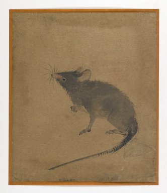  <em>Mouse</em>, 19th century. ink and sepia on paper, 7 1/2 x 6 3/8 in. (19.1 x 16.2 cm). Brooklyn Museum, Gift of Dr. Fred S. Hurst, 81.287.4 (Photo: Brooklyn Museum, 81.287.4_IMLS_PS4.jpg)