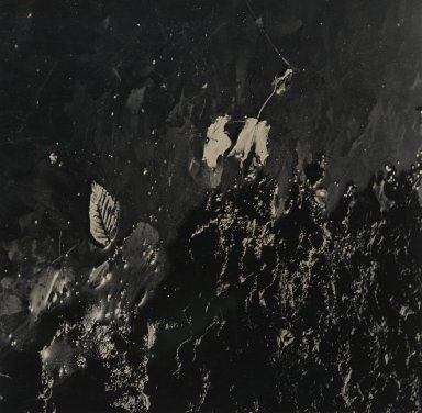 Consuelo Kanaga (American, 1894-1978). <em>[Untitled]</em>. Gelatin silver print, 8 5/8 x 8 3/8 in. (21.9 x 21.3 cm). Brooklyn Museum, Gift of Wallace B. Putnam from the Estate of Consuelo Kanaga, 82.65.104 (Photo: Brooklyn Museum, 82.65.104_PS2.jpg)