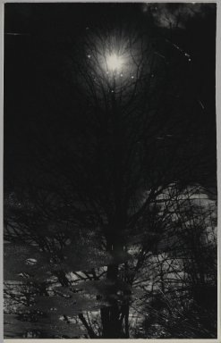 Consuelo Kanaga (American, 1894-1978). <em>[Untitled]</em>. Gelatin silver photograph, 10 7/8 x 7 in. (27.6 x 17.8 cm). Brooklyn Museum, Gift of Wallace B. Putnam from the Estate of Consuelo Kanaga, 82.65.119 (Photo: Brooklyn Museum, 82.65.119_PS2.jpg)
