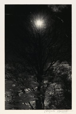 Consuelo Kanaga (American, 1894-1978). <em>Photographing into Water</em>, 1948. Toned gelatin silver print, Image: 10 3/4 x 6 7/8 in. (27.3 x 17.5 cm). Brooklyn Museum, Gift of Wallace B. Putnam from the Estate of Consuelo Kanaga, 82.65.2238 (Photo: Brooklyn Museum, 82.65.2238_PS2.jpg)