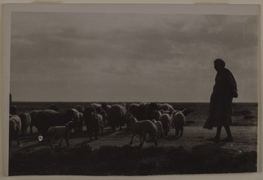 Consuelo Kanaga (American, 1894-1978). <em>Sheep Herder, North Africa</em>, 1928. Gelatin silver print, frame: 20 1/16 × 15 1/16 × 1 1/2 in. (51 × 38.3 × 3.8 cm). Brooklyn Museum, Gift of Wallace B. Putnam from the Estate of Consuelo Kanaga, 82.65.2651 (Photo: Brooklyn Museum, 82.65.2651_PS20.jpg)