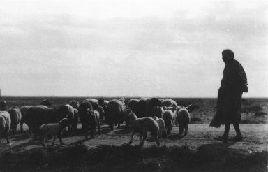Consuelo Kanaga (American, 1894-1978). <em>[Untitled] (Sheep Herder, North Africa)</em>, 1928. Gelatin silver print, 4 1/4 x 6 1/4 in. (10.8 x 15.9 cm). Brooklyn Museum, Gift of Wallace B. Putnam from the Estate of Consuelo Kanaga, 82.65.2651 (Photo: Brooklyn Museum, 82.65.2651_bw_IMLS.jpg)