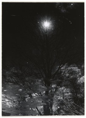 Consuelo Kanaga (American, 1894-1978). <em>[Untitled] (Pond Reflections)</em>. Gelatin silver photograph, Image: 4 3/4 x 3 1/2 in. (12.1 x 8.9 cm). Brooklyn Museum, Gift of Wallace B. Putnam from the Estate of Consuelo Kanaga, 82.65.289 (Photo: Brooklyn Museum, 82.65.289_PS2.jpg)