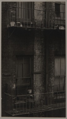 Consuelo Kanaga (American, 1894-1978). <em>Untitled</em>, ca. 1937. Gelatin silver print, frame: 20 1/16 × 15 1/16 × 1 1/2 in. (51 × 38.3 × 3.8 cm). Brooklyn Museum, Gift of Wallace B. Putnam from the Estate of Consuelo Kanaga, 82.65.315 (Photo: Brooklyn Museum, 82.65.315_PS20.jpg)