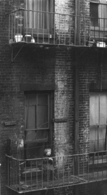 Consuelo Kanaga (American, 1894-1978). <em>[Untitled] (Tenement, Child on Fire Escape, New York)</em>, mid-late 1930s. Gelatin silver print, 7 x 3 7/8 in. (17.8 x 9.8 cm). Brooklyn Museum, Gift of Wallace B. Putnam from the Estate of Consuelo Kanaga, 82.65.315 (Photo: Brooklyn Museum, 82.65.315_bw_IMLS.jpg)