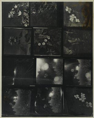 Consuelo Kanaga (American, 1894–1978). <em>[Untitled]</em>. Gelatin silver print, contact sheet of 12: 10 x 8 in. (25.4 x 20.3 cm). Brooklyn Museum, Gift of Wallace B. Putnam from the Estate of Consuelo Kanaga, 82.65.349 (Photo: Brooklyn Museum, 82.65.349_PS2.jpg)