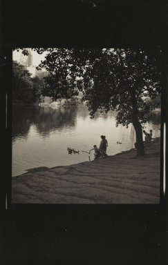 Consuelo Kanaga (American, 1894–1978). <em>[Untitled] (Central Park)</em>. Gelatin silver print, 4 x 2 5/8 in. (10.2 x 6.7 cm). Brooklyn Museum, Gift of Wallace B. Putnam from the Estate of Consuelo Kanaga, 82.65.351 (Photo: Brooklyn Museum, 82.65.351_PS2.jpg)