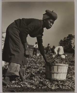 Consuelo Kanaga (American, 1894-1978). <em>Untitled</em>, 1950. Gelatin silver print, frame: 20 1/16 × 15 1/16 × 1 1/2 in. (51 × 38.3 × 3.8 cm). Brooklyn Museum, Gift of Wallace B. Putnam from the Estate of Consuelo Kanaga, 82.65.358 (Photo: Brooklyn Museum, 82.65.358_PS20.jpg)