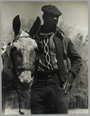 Consuelo Kanaga (American, 1894-1978). <em>[Untitled] (Farmer and Mule, Florida)</em>, 1950. Gelatin silver print, 9 7/8 x 7 5/8 in. (25.1 x 19.4 cm). Brooklyn Museum, Gift of Wallace B. Putnam from the Estate of Consuelo Kanaga, 82.65.391 (Photo: Brooklyn Museum, 82.65.391_PS2.jpg)