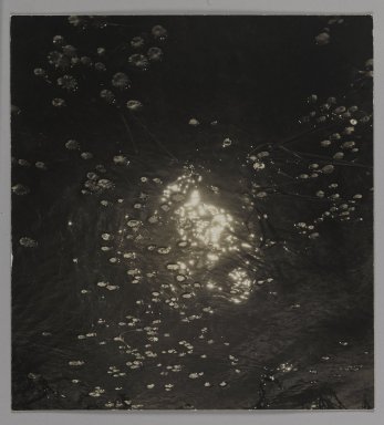 Consuelo Kanaga (American, 1894-1978). <em>[Untitled] (Lily Pads on Pond)</em>. Gelatin silver print, 11 1/2 x 10 1/2 in. (29.2 x 26.7 cm). Brooklyn Museum, Gift of Wallace B. Putnam from the Estate of Consuelo Kanaga, 82.65.421 (Photo: Brooklyn Museum, 82.65.421_PS1.jpg)