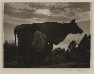 Consuelo Kanaga (American, 1894-1978). <em>Milking Time</em>, 1948. Gelatin silver print, frame: 20 1/16 × 15 1/16 × 1 1/2 in. (51 × 38.3 × 3.8 cm). Brooklyn Museum, Gift of Wallace B. Putnam from the Estate of Consuelo Kanaga, 82.65.426 (Photo: Brooklyn Museum, 82.65.426_PS20.jpg)