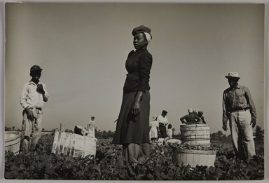 Consuelo Kanaga (American, 1894-1978). <em>Florida Farm Workers</em>, 1950. Gelatin silver print, frame: 20 1/16 × 15 1/16 × 1 1/2 in. (51 × 38.3 × 3.8 cm). Brooklyn Museum, Gift of Wallace B. Putnam from the Estate of Consuelo Kanaga, 82.65.458 (Photo: Brooklyn Museum, 82.65.458_PS20.jpg)