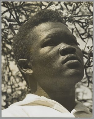 Consuelo Kanaga (American, 1894-1978). <em>[Untitled] (Eluard Luchel Mc Daniel)</em>. Gelatin silver photograph, 9 3/4 x 7 5/8 in. (24.8 x 19.4 cm). Brooklyn Museum, Gift of Wallace B. Putnam from the Estate of Consuelo Kanaga, 82.65.464 (Photo: Brooklyn Museum, 82.65.464_PS2.jpg)