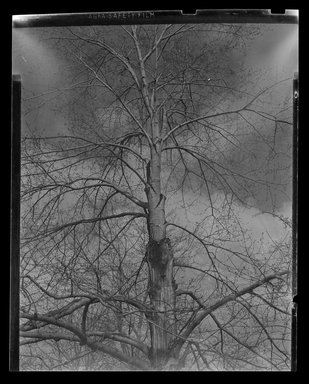 Consuelo Kanaga (American, 1894-1978). <em>[Untitled]</em>. Safety Negative, 4 x 5 in. (10.2 x 12.7 cm). Brooklyn Museum, Gift of Wallace B. Putnam from the Estate of Consuelo Kanaga, 82.65.469 (Photo: Brooklyn Museum, 82.65.469.jpg)