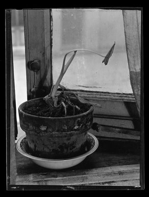 Consuelo Kanaga (American, 1894-1978). <em>[Untitled]</em>. Safety Negative, 3 x 4 in. (7.6 x 10.2 cm). Brooklyn Museum, Gift of Wallace B. Putnam from the Estate of Consuelo Kanaga, 82.65.558 (Photo: Brooklyn Museum, 82.65.558.jpg)