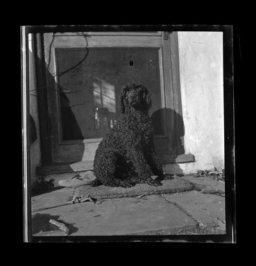 Consuelo Kanaga (American, 1894–1978). <em>[Untitled]</em>. Negative, 2 1/4 x 2 1/4 in. (5.7 x 5.7 cm). Brooklyn Museum, Gift of Wallace B. Putnam from the Estate of Consuelo Kanaga, 82.65.596 (Photo: Brooklyn Museum, 82.65.596.jpg)