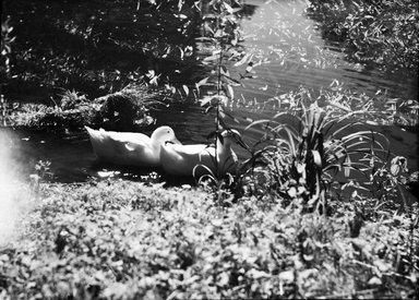 Consuelo Kanaga (American, 1894–1978). <em>[Untitled]</em>. Negative, 3 x 4 in. (7.6 x 10.2 cm). Brooklyn Museum, Gift of Wallace B. Putnam from the Estate of Consuelo Kanaga, 82.65.881 (Photo: Brooklyn Museum, 82.65.881_bw_SL4.jpg)