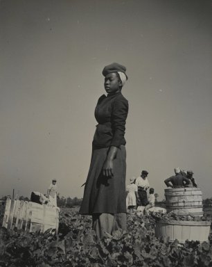 Consuelo Kanaga (American, 1894-1978). <em>[Untitled] (Florida Muckworkers)</em>, 1950. Gelatin silver photograph, 10 1/8 x 8 1/8 in. (25.7 x 20.6 cm). Brooklyn Museum, Gift of Wallace B. Putnam from the Estate of Consuelo Kanaga, 82.65.89 (Photo: Brooklyn Museum, 82.65.89_PS2.jpg)