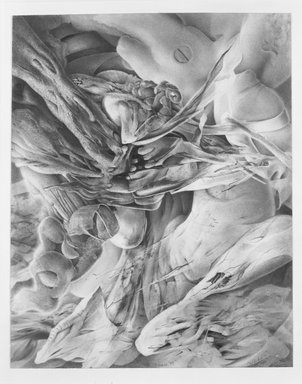 Carl Jackson. <em>Dream M</em>, 1982. Graphite on paper, 12 x 15 in. (30.5 x 38.1 cm). Brooklyn Museum, Designated Purchase Fund, 83.16. © artist or artist's estate (Photo: Brooklyn Museum, 83.16_bw.jpg)