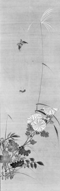 Suzuki Kiitsu (Japanese, 1796-1858). <em>Autumn Grasses</em>, 19th century. Hanging scroll, ink and color on silk, Image: 39 3/4 x 12 5/8 in. (101 x 32.1 cm). Brooklyn Museum, Gift of Dr. Ellen Pan, 83.189.4 (Photo: Brooklyn Museum, 83.189.4_bw_IMLS.jpg)