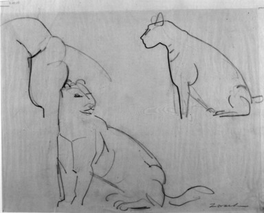 William Zorach (American, born Lithuania, 1887–1966). <em>Pumas</em>, ca. 1940. Graphite on tissue paper, Sheet: 11 3/16 x 14 in. (28.4 x 35.6 cm). Brooklyn Museum, Gift of William Bloom, 84.46.5. © artist or artist's estate (Photo: Brooklyn Museum, 84.46.5_bw.jpg)