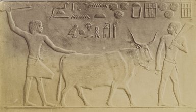 Antonio Beato (Italian and British, ca. 1825-ca.1903). <em>Beouf Sacre a Saqqarah</em>, 19th century. Albumen silver print, image/sheet: 5 1/8 x 8 7/8 in. (13 x 22.5 cm). Brooklyn Museum, Gift of Alan Schlussel, 86.250.26 (Photo: Brooklyn Museum, 86.250.26_PS4.jpg)