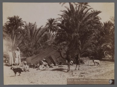  <em>View from Site in Northern Africa or Syria</em>, 19th century. Albumen silver photograph, 7 3/8 x 10 in. (18.7 x 25.4 cm). Brooklyn Museum, Gift of Samuel Kirschenbaum, 86.265.7 (Photo: Brooklyn Museum, 86.265.7_IMLS_PS3.jpg)