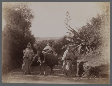  <em>View from Site in Northern Africa or Syria</em>, 19th century. Albumen silver photograph, 7 1/2 x 10 in. (19.1 x 25.4 cm). Brooklyn Museum, Gift of Samuel Kirschenbaum, 86.265.8 (Photo: Brooklyn Museum, 86.265.8_IMLS_PS3.jpg)