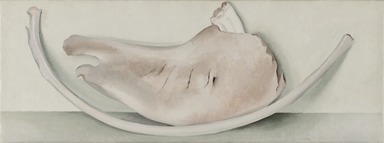 Georgia O'Keeffe (American, 1887–1986). <em>Rib and Jawbone (recto) and Tulip (verso)</em>, 1935 (recto); ca. 1926 (verso). Oil on canvas, 9 x 24 in.  (22.9 x 61.0 cm). Brooklyn Museum, Bequest of Georgia O'Keeffe, 87.136.5a-b. © artist or artist's estate (Photo: Brooklyn Museum, 87.136.5a-b_recto_PS22.jpg)